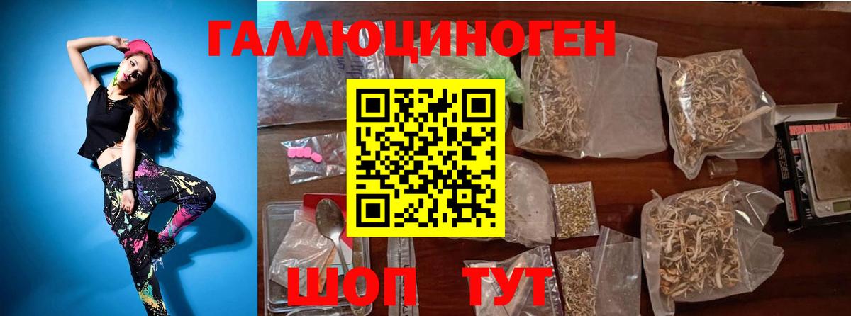 Галлюциногенные грибы MAGIC MUSHROOMS  Псилоцибиновые грибы Cubensis  Курчалой  Вход с VPN 